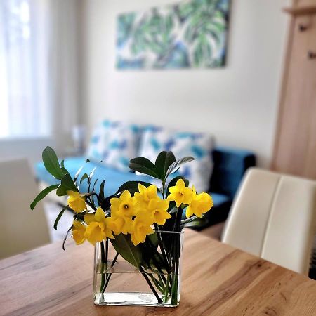 Silver Lodge Apartment 1 Eger Ngoại thất bức ảnh